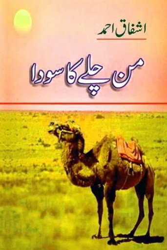 من چلے کا سودا movie poster