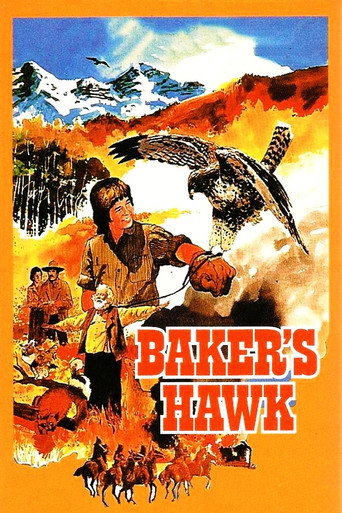 Baker's Hawk movie poster