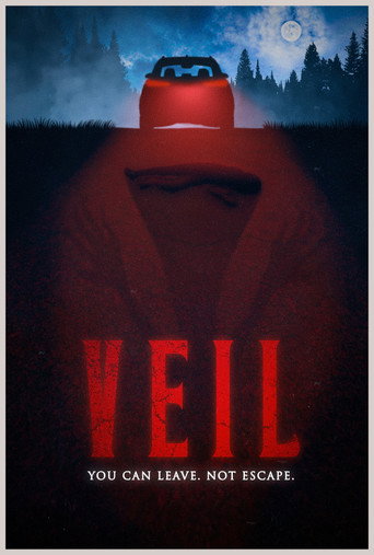 VEIL movie poster