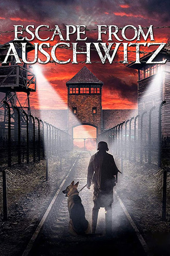 The Escape from Auschwitz movie poster