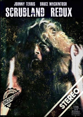 Stardust Redux movie poster