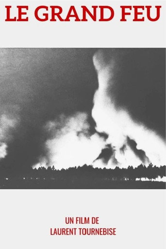 1949 : le Grand feu movie poster