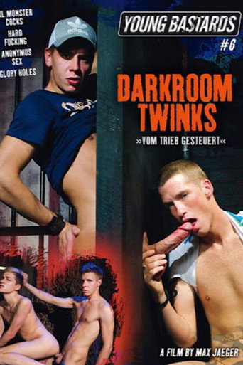 Young Bastards 6: Darkroom Twinks movie poster