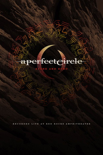 A Perfect Circle: Stone And Echo movie poster