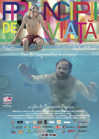 Principles of life movie poster
