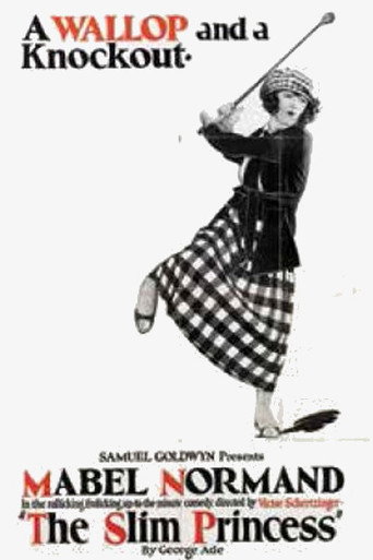 The Slim Princess movie poster