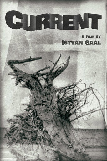 Current movie poster