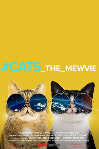 #cats_the_mewvie movie poster