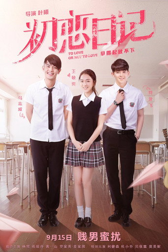 To Love or Not to Love movie poster