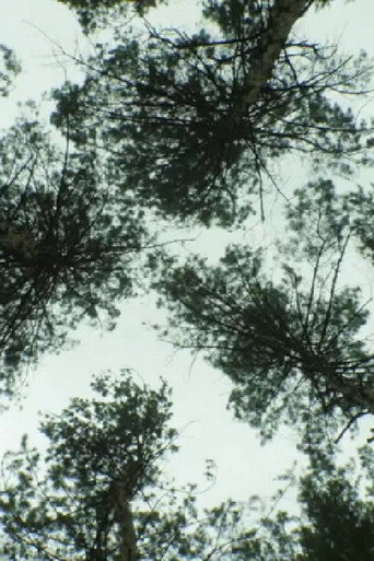 Nature_Nature movie poster
