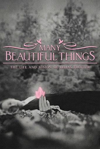 Many Beautiful Things movie poster