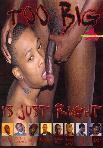 Too Big Is Just Right movie poster