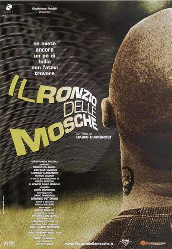 Il ronzio delle mosche movie poster