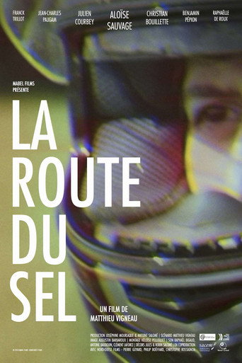 The Salt Way movie poster