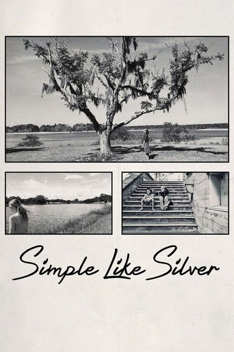 Simple Like Silver movie poster