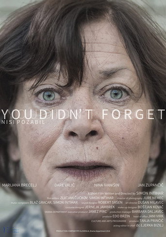 You Didn't Forget movie poster