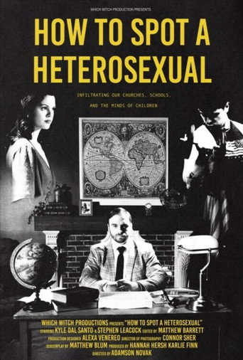 How to Spot a Heterosexual movie poster