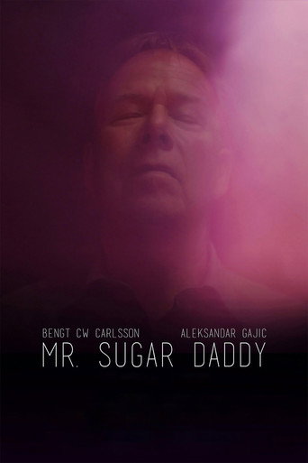 Mr. Sugar Daddy movie poster
