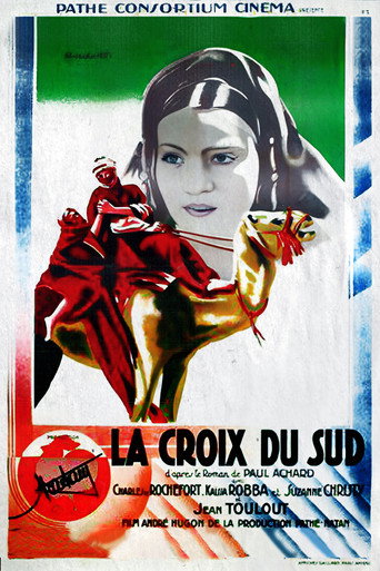 Southern Cross movie poster