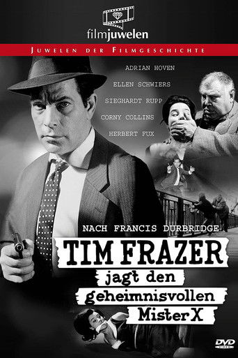 Tim Frazer Hunts the Mysterious Mr. X movie poster