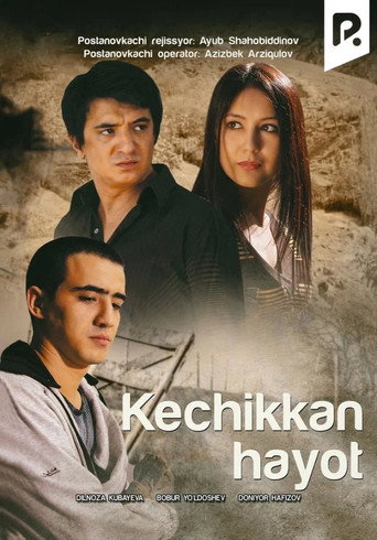 Belated life movie poster