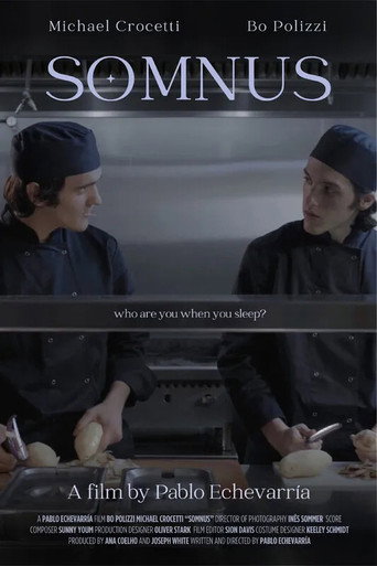 Somnus movie poster