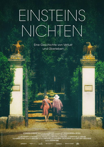 Einsteins Nichten movie poster