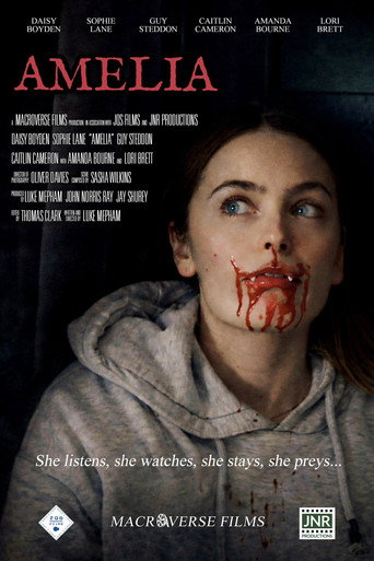 Amelia movie poster
