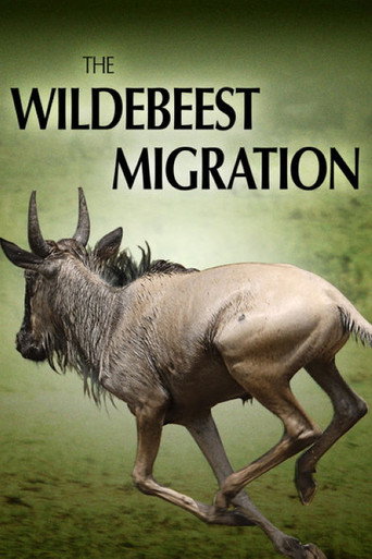 The Wildebeest Migration: Nature's Greatest Journey movie poster