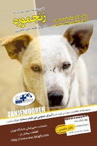 Zanjmoore movie poster