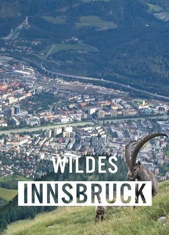 Wildes Innsbruck: Zwischen Moderne und alpiner Wildnis movie poster