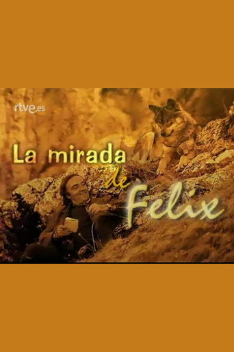 La mirada de Félix movie poster