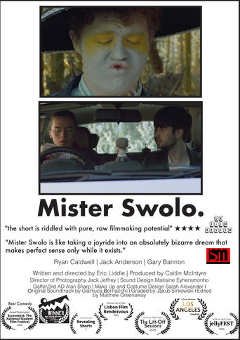 Mister Swolo movie poster