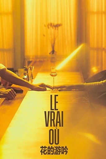 Le Vrai Où movie poster