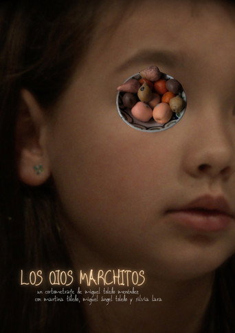 The Withered Eyes movie poster