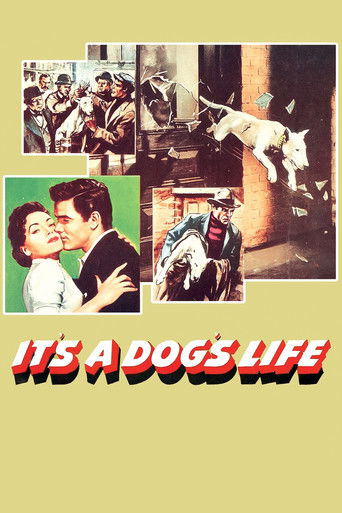 It's a Dog's Life movie poster