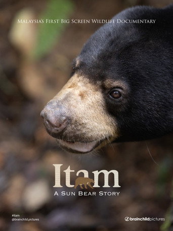 Itam: A Sun Bear Story movie poster