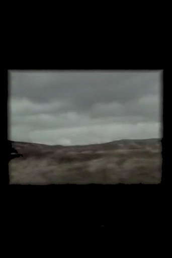 Stravaig / Errance movie poster