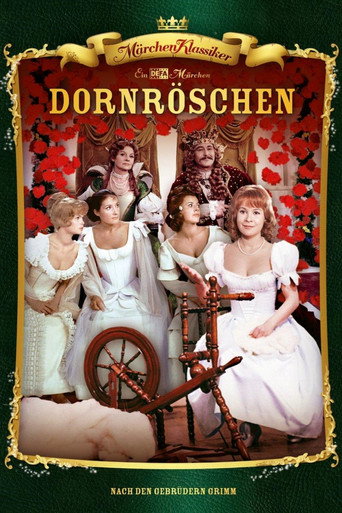 Sleeping Beauty movie poster
