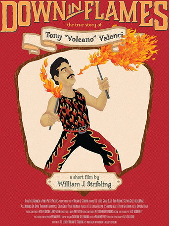 Down in Flames: The True Story of Tony Volcano Valenci movie poster