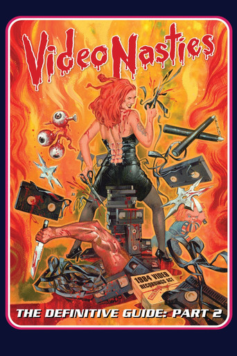 Video Nasties - The Definitive Guide Part 2 - The Section 3 List A-L movie poster