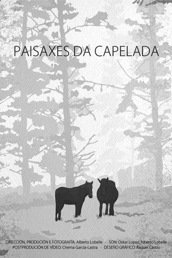 Landscapes of A Capelada movie poster