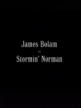 Stormin' Norman movie poster