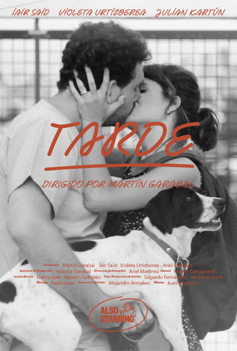 Tarde movie poster