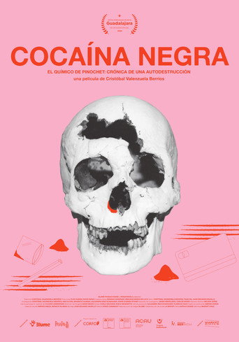 Black Cocaine movie poster