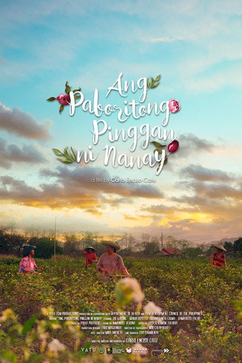 Ang Paboritong Pinggan ni Nanay movie poster