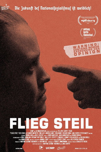 Flieg steil movie poster