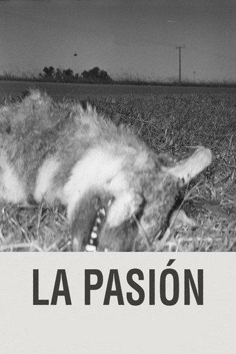The Passion movie poster