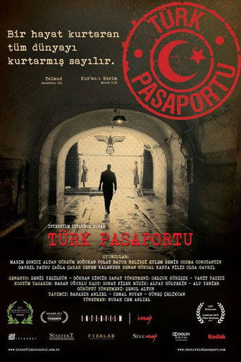 Turkish Passport movie poster