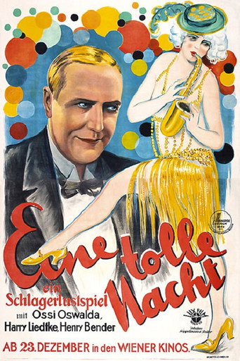 A Crazy Night movie poster